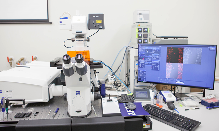 Confocal Microscope Core Lab